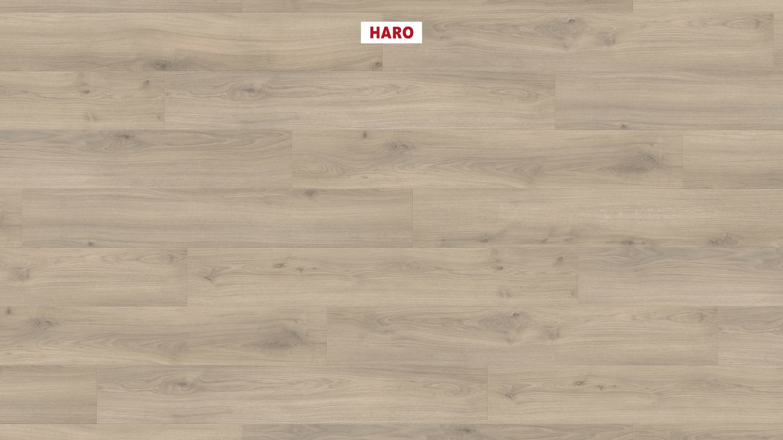 HARO Laminatboden TRITTY 100 Landhausdiele 4V Eiche Emilia samtgrau 538695 – Bild 2
