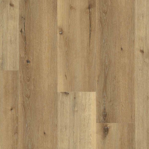 910013_540011_930090_KWG_Designervinyl_antigua_novel_Asteiche