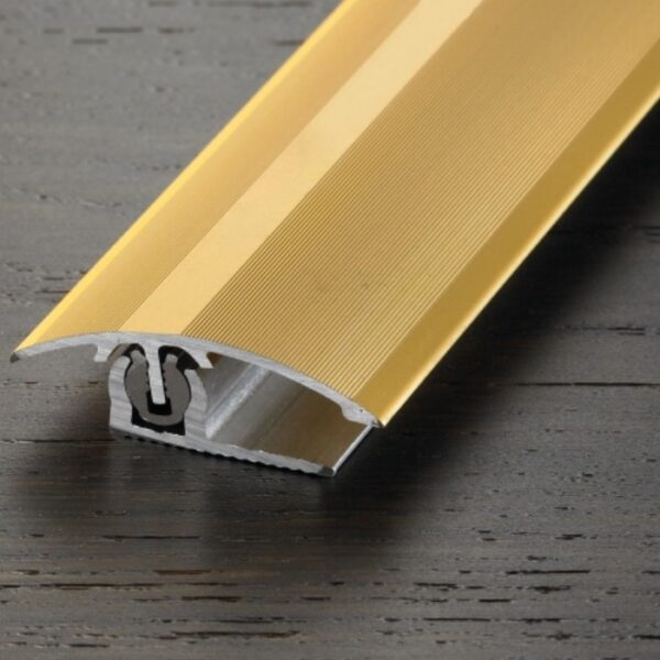 32511_32811_Provario_Universal_Anpassungsprofil_gold_elox