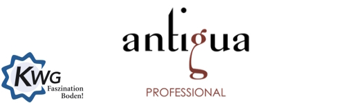 professional_Logo_500_150