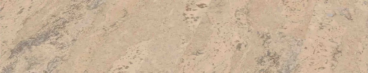 Headerbild - Korkboden