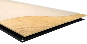 aufbau_disano_project_