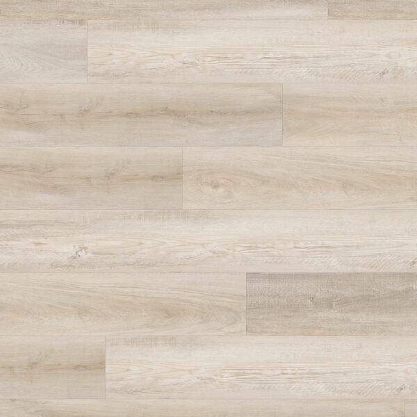 575004 Eiche Lappland