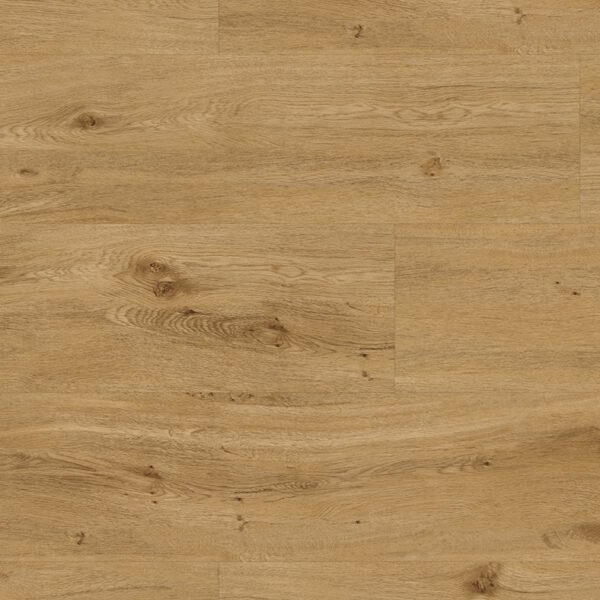 575021 Eiche Andalusien