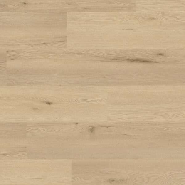 575023 Eiche Friesland